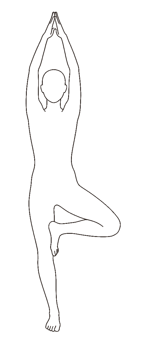 Feine Linienzeichnung: Vrksasana