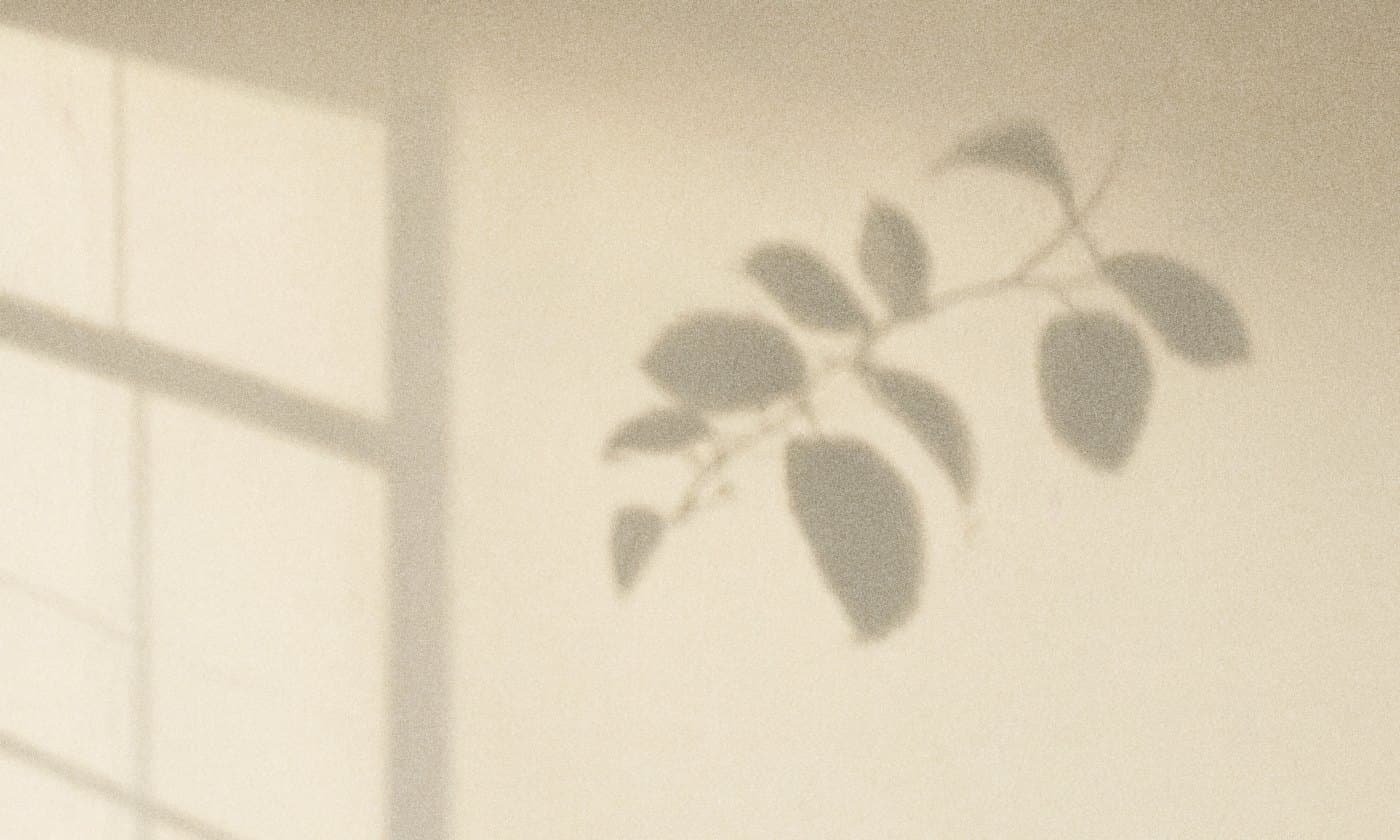 Fensterkreuzschatten auf einer cremefarbenen Putzwand, ein Wasserglas auf dem Boden, Lichtstreifen an der Sockelleiste.